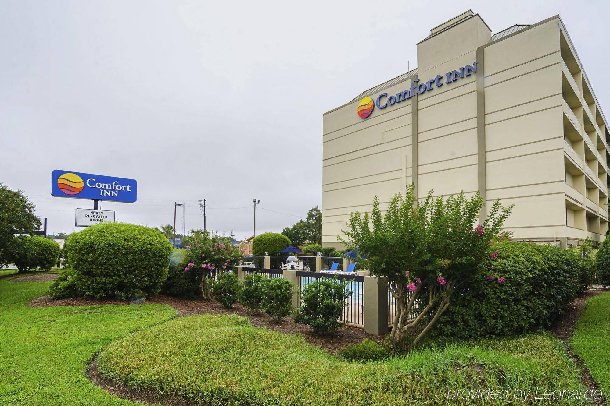 Comfort Inn University Wilmington Exterior foto